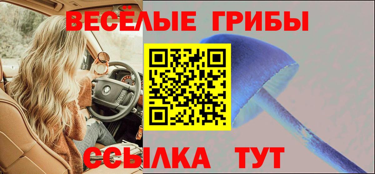 Псилоцибиновые грибы мицелий Великий Новгород