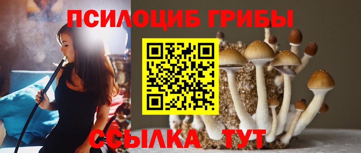 Галлюциногенные грибы GOLDEN TEACHER  Вход с VPN  Великий Новгород  Галлюциногенные грибы MAGIC MUSHROOMS 